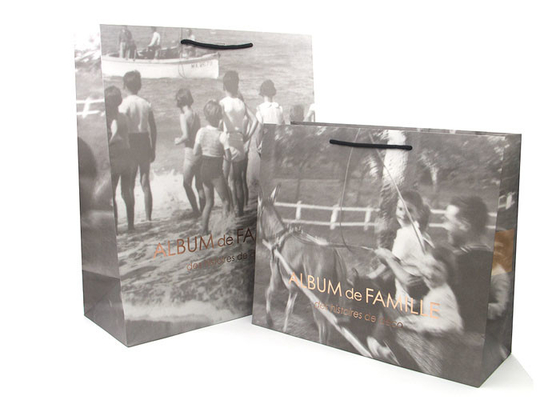 Good price Fancy Personalised Paper Bags /  Printed Paper Carrier Bags Offset Printing online